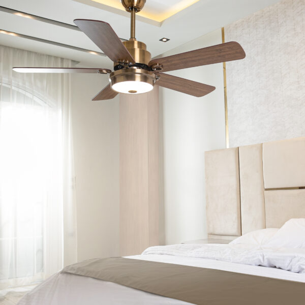 Valli Brown 48 Inch Ceiling Fan